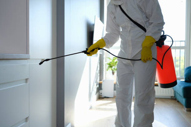Best Post-Flood Mold Remediation in Butler, IN